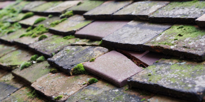 Bourn roof repair costs